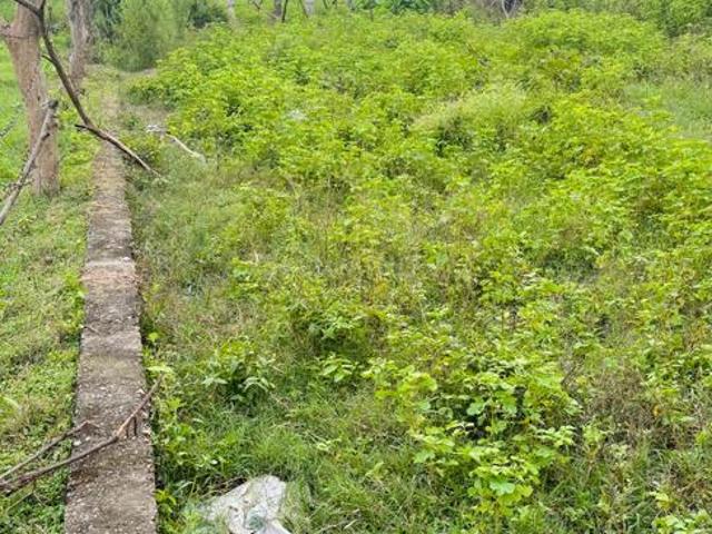 Land for sale in Hardwar, Uttarakhand
