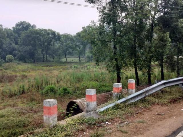 Land for sale in Sakleshpur, Karnataka