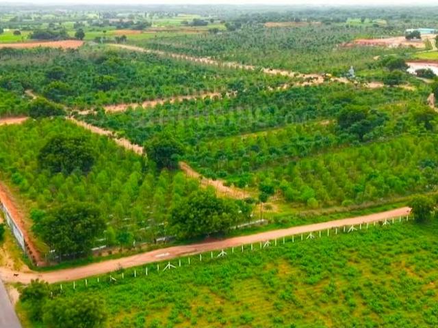Land for sale in Salvapur, Jangaon