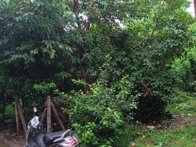 Land for sale in Madya