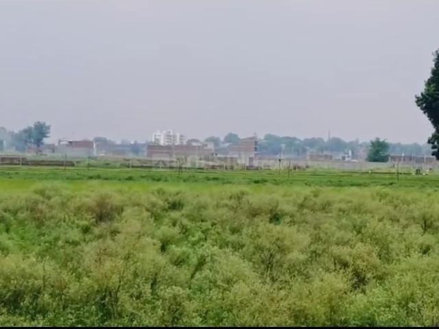 Land for sale in Mohanlalganj, Arunachal Pradesh
