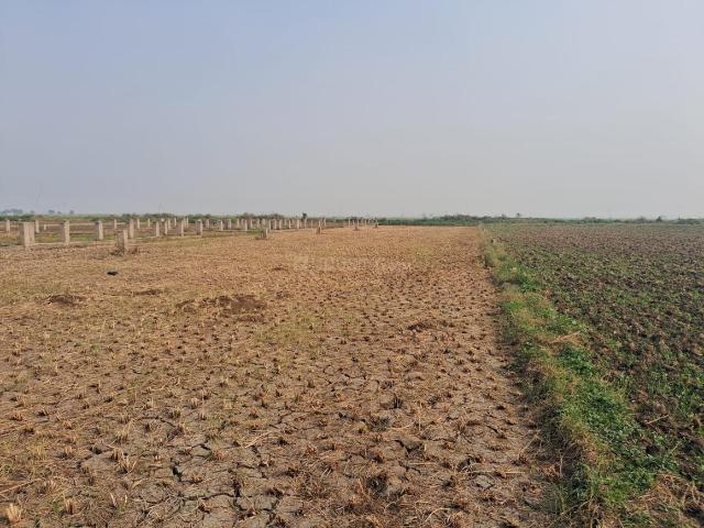 Land for sale in Bihar