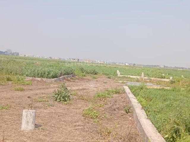 Land for sale in Bihar