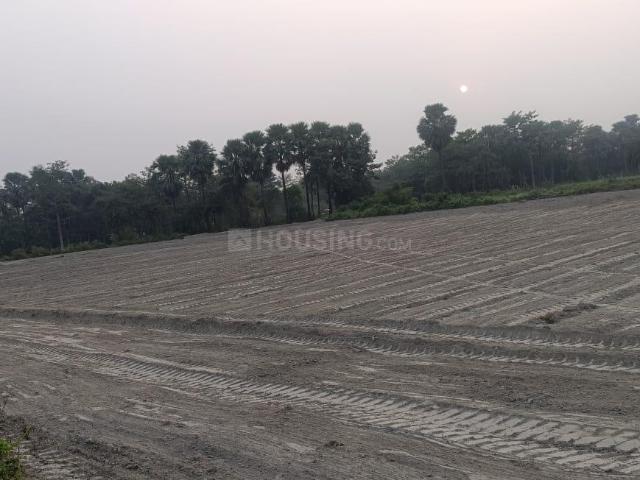 Land for sale in Bihar