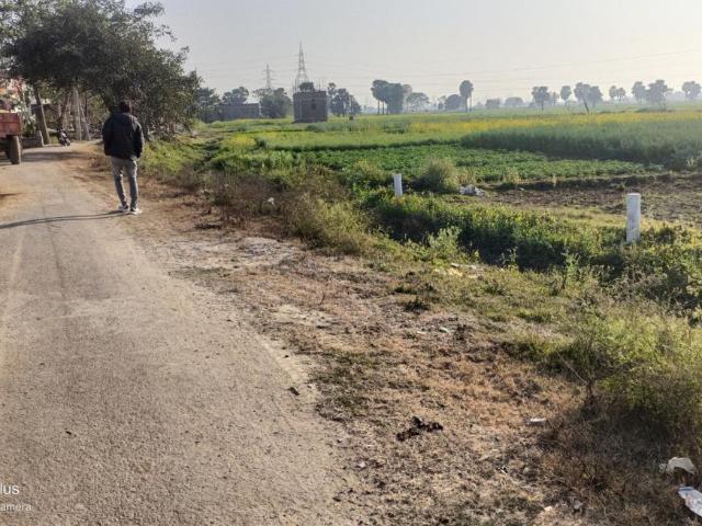 Land for sale in Bihar