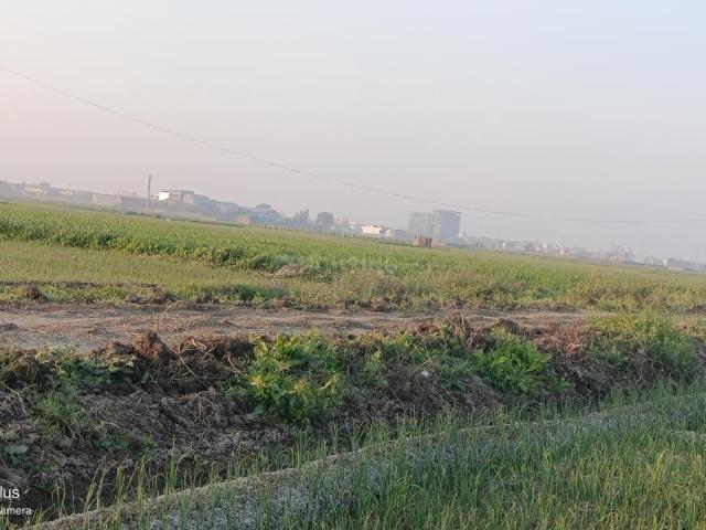 Land for sale in Bihar