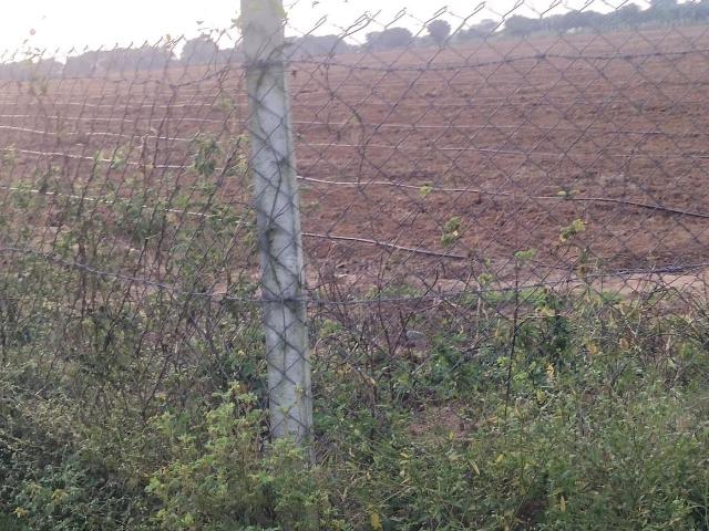 Land for sale in Sangareddy mandal, Sangareddy