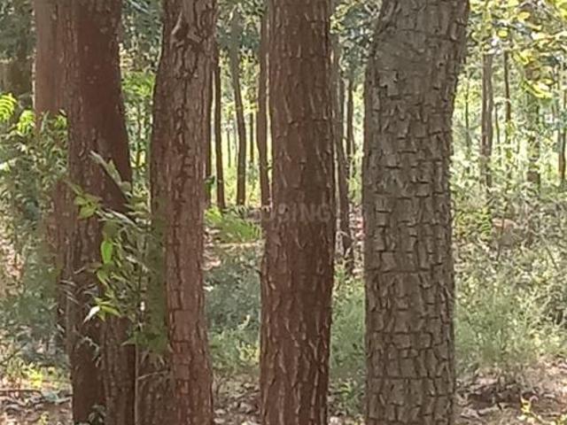 Land for sale in Sangareddi, Telangana