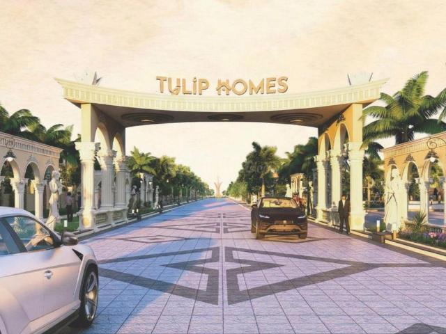 Land for sale in Madya