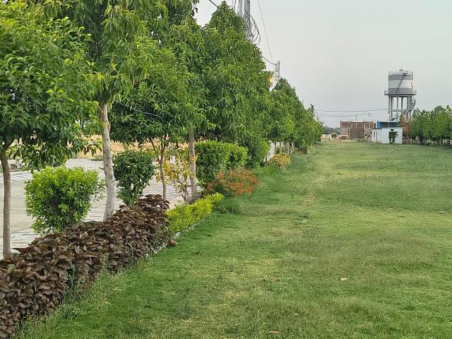 Land for sale in Madya
