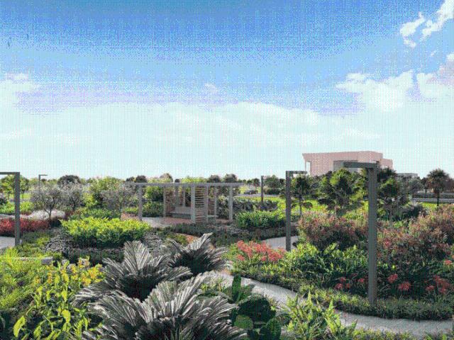 Land for sale in Madya