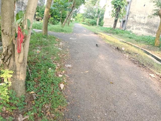 Land for sale in Tollygunge, Kolkata