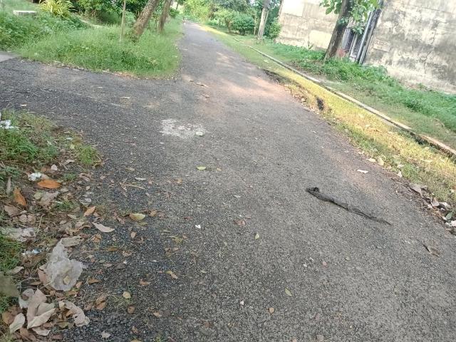 Land for sale in Tollygunge, Kolkata