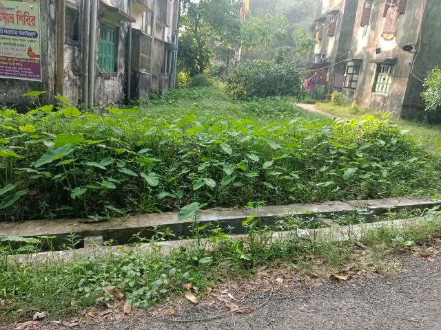Land for sale in Tollygunge, Kolkata