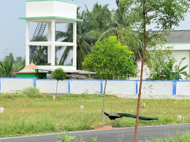 Land for sale in Coimbatore, Tamil Nadu