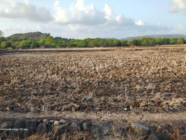 Land for sale in National Capital Territory Of Delhi