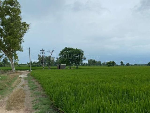 Land for sale in Raigad, Maharashtra