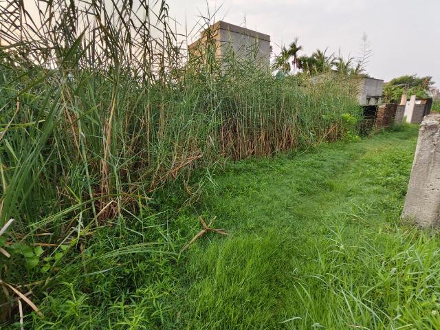 Land for sale in Calcutta, West Bengal