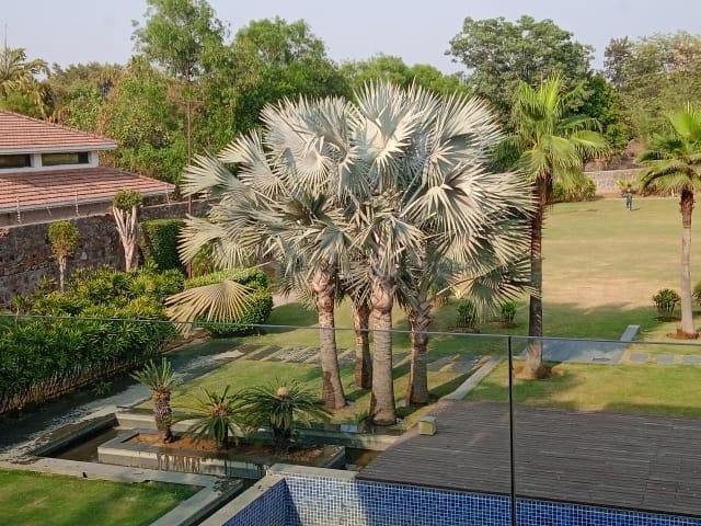 Land for sale in South Delhi, Deri