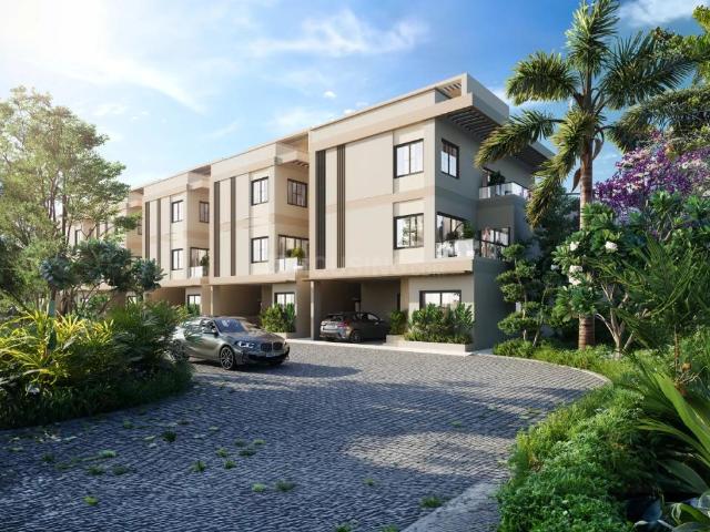 Land for sale in Madya