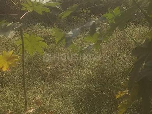Land for sale in Madya