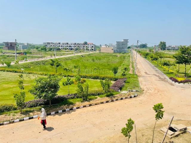 Land for sale in Punjab