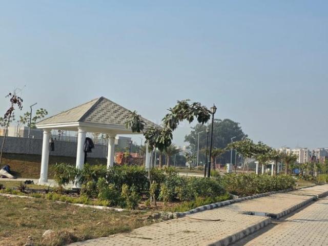 Land for sale in Mohari, Punjab