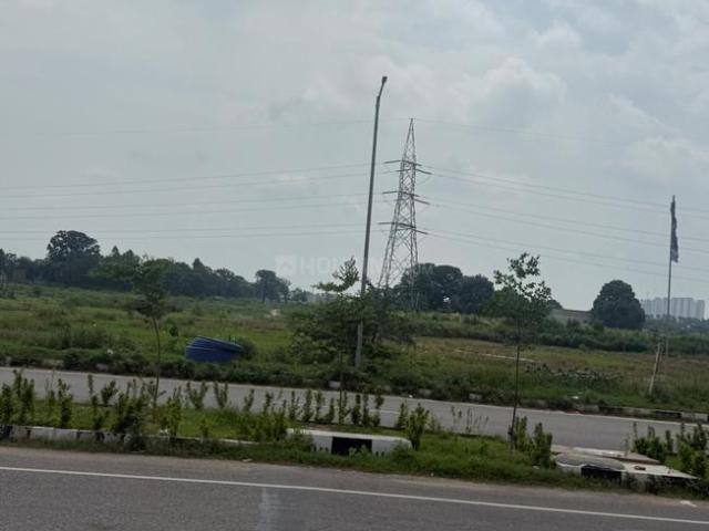 Land for sale in Mohari, Punjab