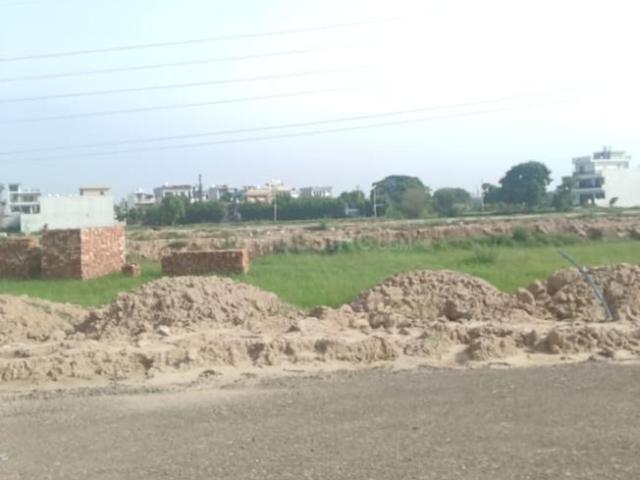 Land for sale in Mohari, Punjab