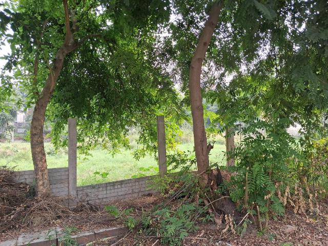 Land for sale in Bahlolpur, Arunachal Pradesh