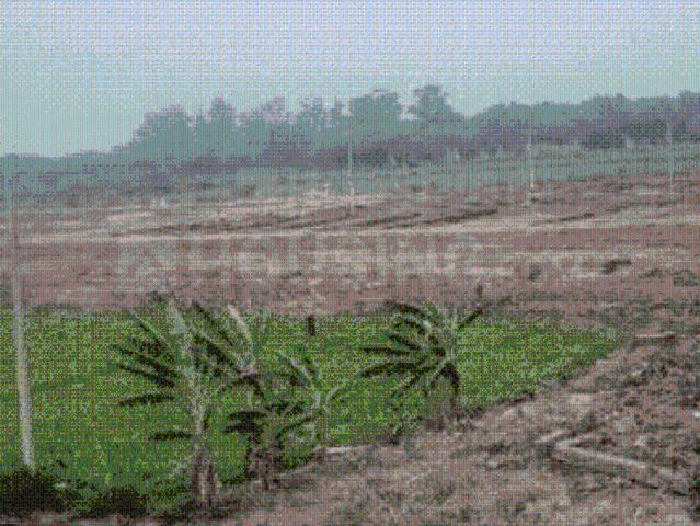 Land for sale in Punjab