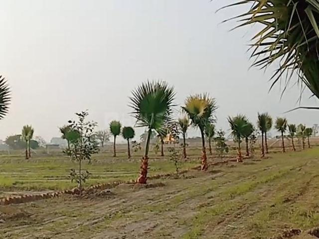 Land for sale in Greater Noida - Delhi, Arunachal Pradesh
