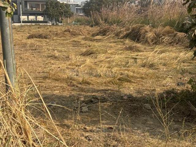 Land for sale in Hariana