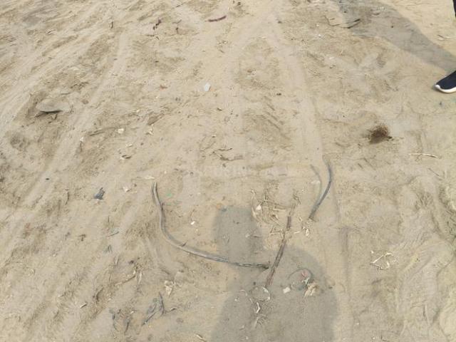 Land for sale in Greater Noida - Delhi, Arunachal Pradesh