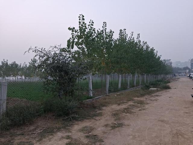 Land for sale in Greater Noida - Delhi, Arunachal Pradesh