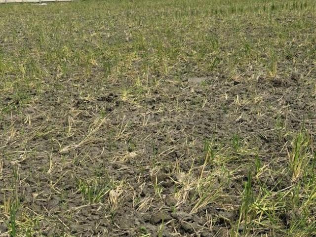 Land for sale in Greater Noida - Delhi, Arunachal Pradesh