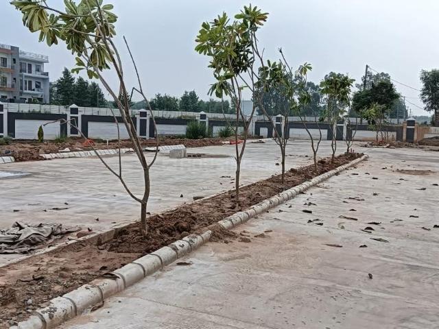 Land for sale in Hariana