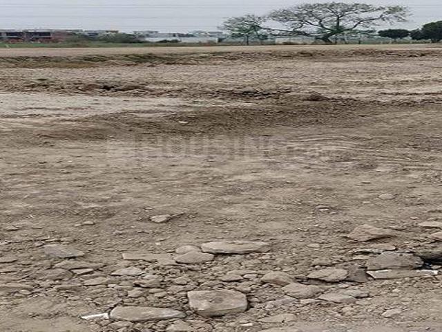 Land for sale in Hariana