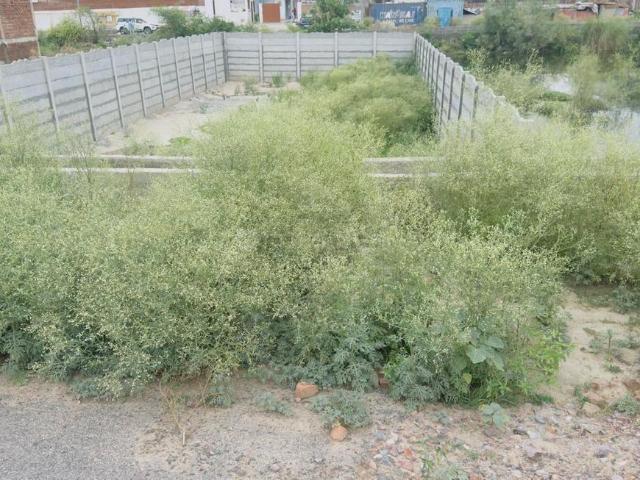 Land for sale in Greater Noida - Delhi, Arunachal Pradesh