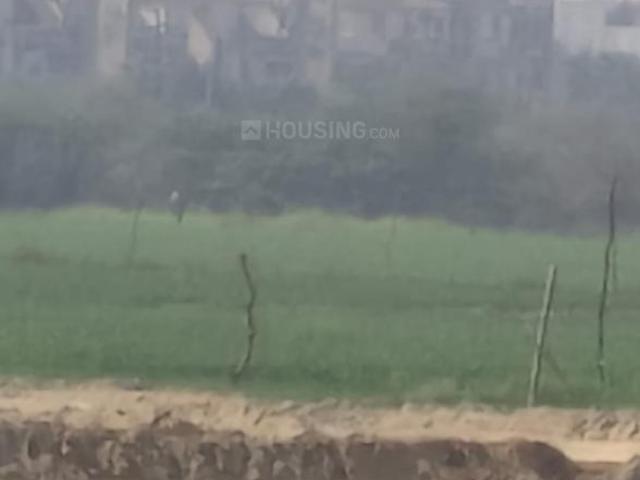 Land for sale in Dankaur, Arunachal Pradesh