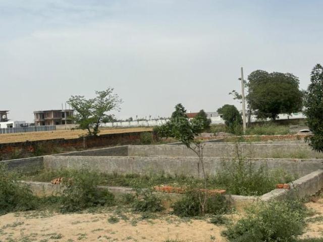 Land for sale in Dankaur, Arunachal Pradesh