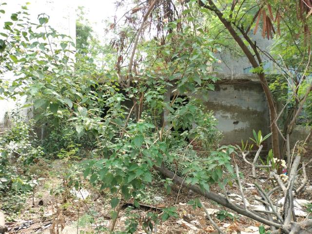 Land for sale in South West Delhi, Deri