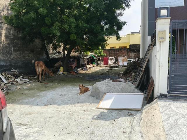 Land for sale in Hariana