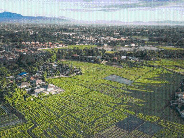 Land for sale in Hariana