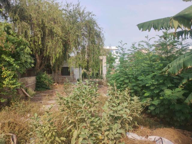 Land for sale in Hariana