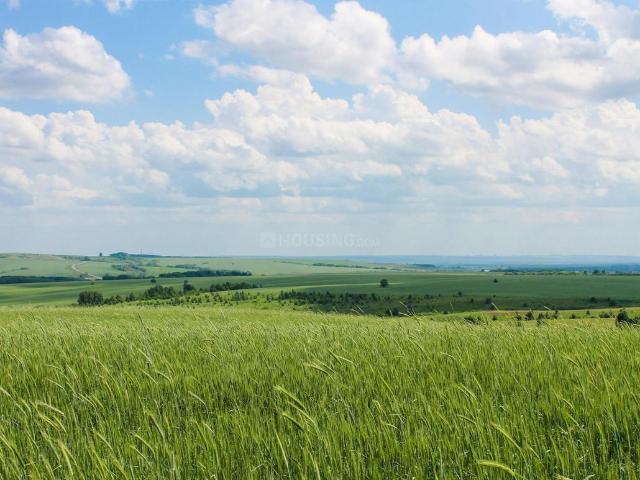 Land for sale in Hariana