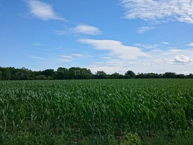 Land for sale in Hariana