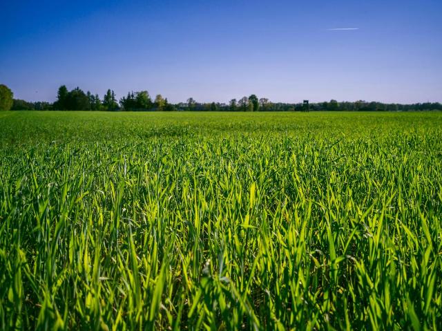Land for sale in Hariana