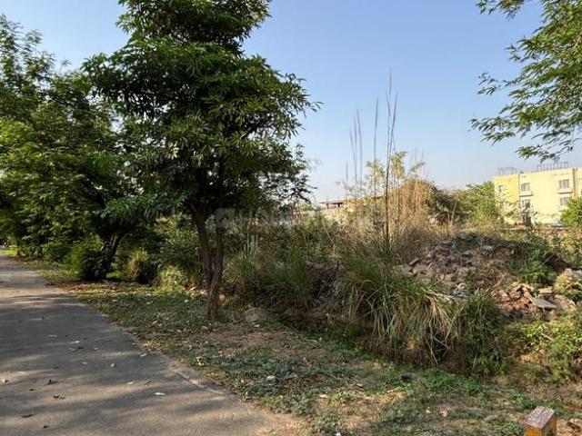 Land for sale in Dankaur, Arunachal Pradesh