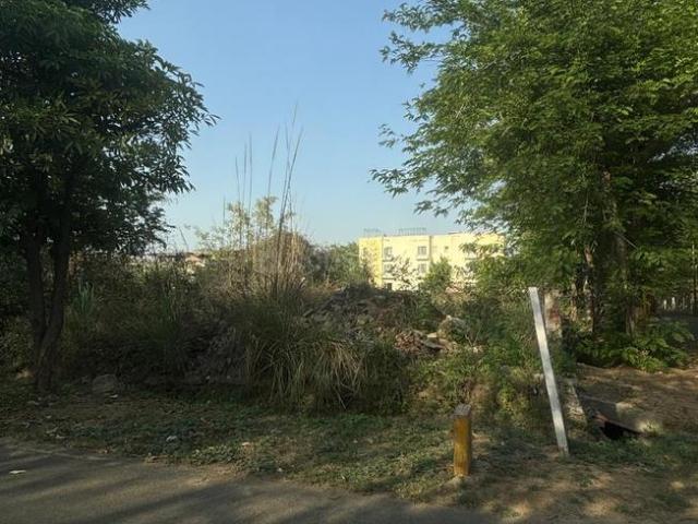 Land for sale in Dankaur, Arunachal Pradesh